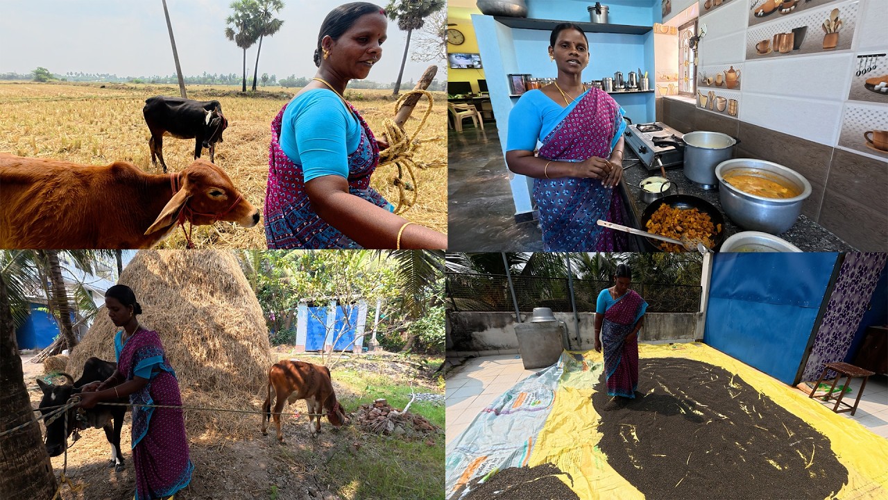 என்னுடைய மதிய  வேலைகள் /AFTERNOON ROUTINE VLOG /காலை கடும் பனி மதியம் சுட்டெரிக்கும் கடும் வெயில்