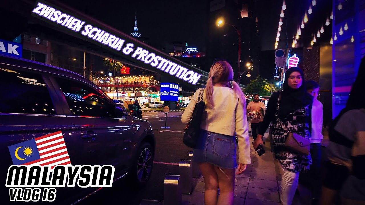 War’s das mit Malaysia für uns ? 🇲🇾 Weltreise Vlog # 16 Cameron Highlands, Kuala Lumpur Nightlife