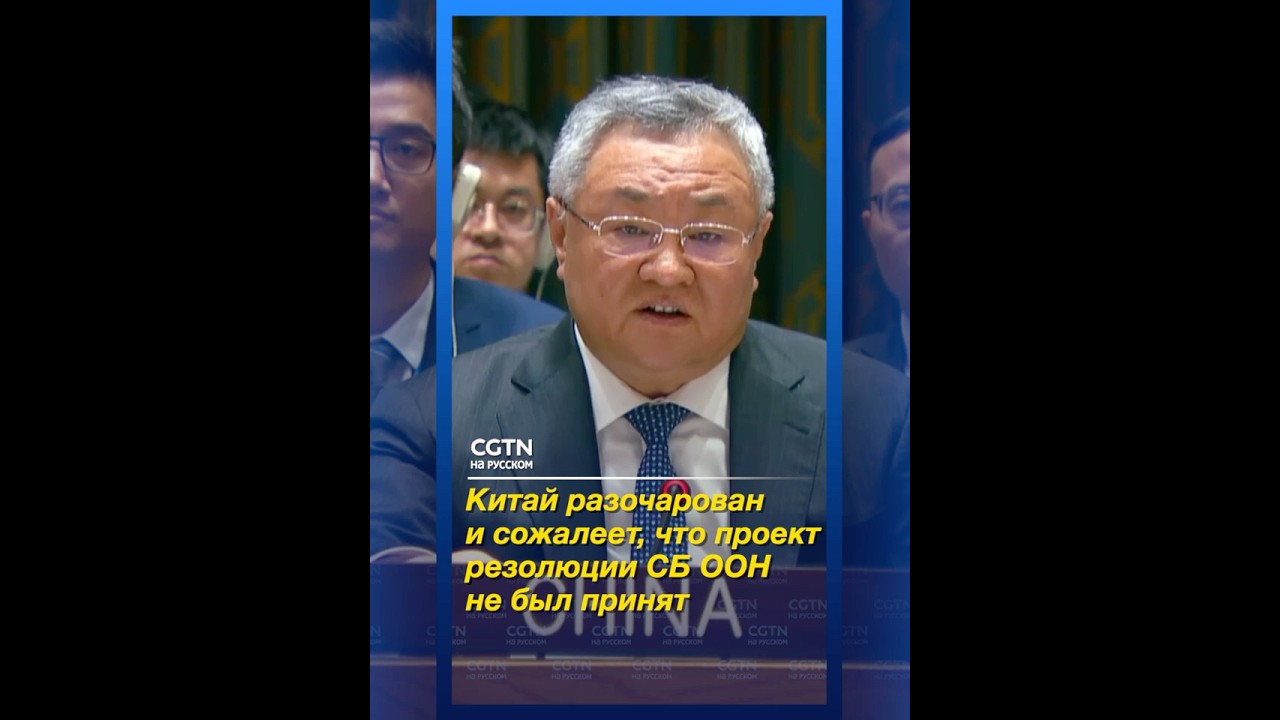 Китай разочарован и сожалеет, что проект резолюции СБ ООНне был принят