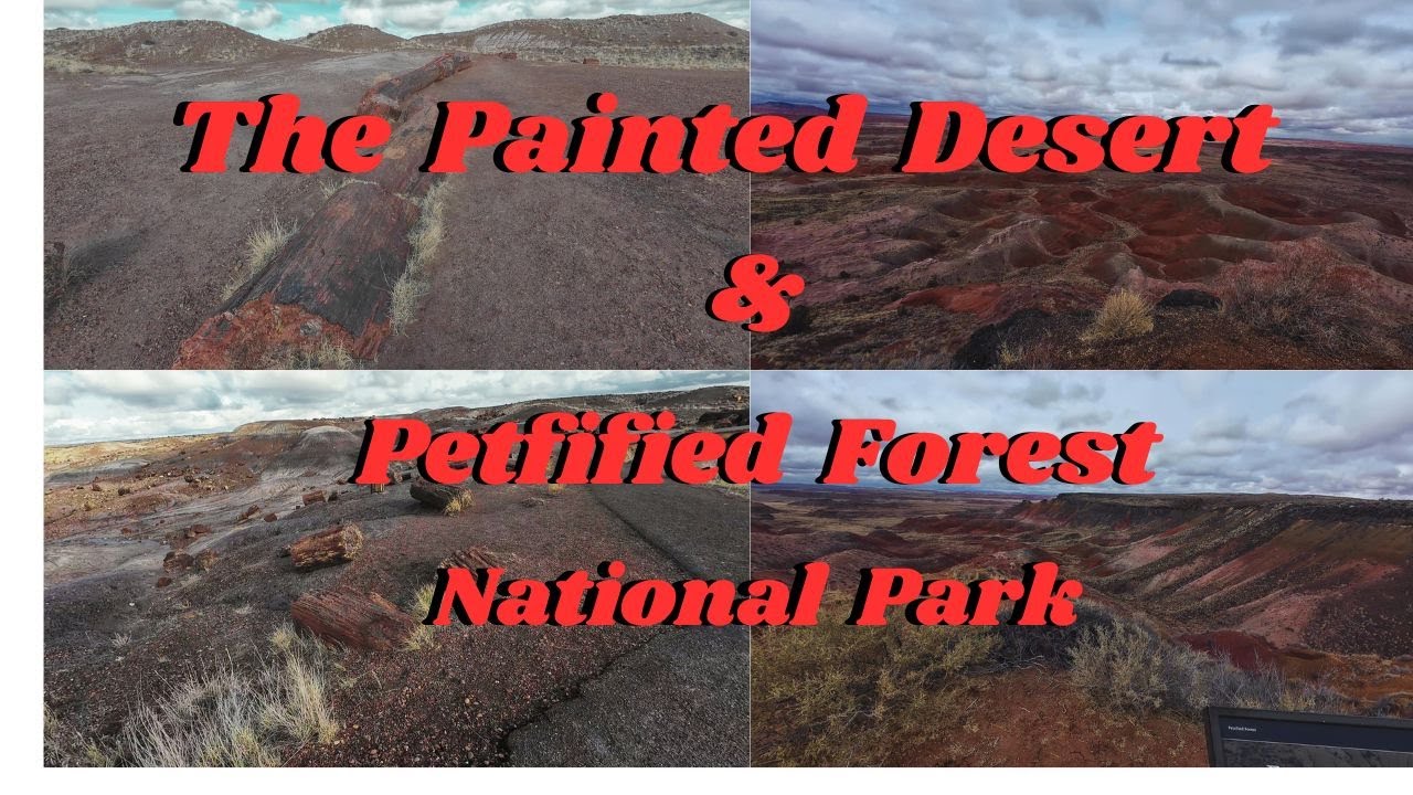 The Ultimate Guide To  The Painted Desert & Petrified Forest
