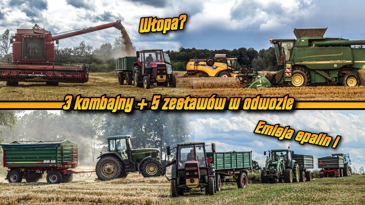 🇵🇱Wielkie żniwa na 3 kombajny㋛︎Emisja spalin 101%㋛︎Ur Jaś Nieradka㋛︎Ostatnie żniwa 2021 4xJd,Nh,Case