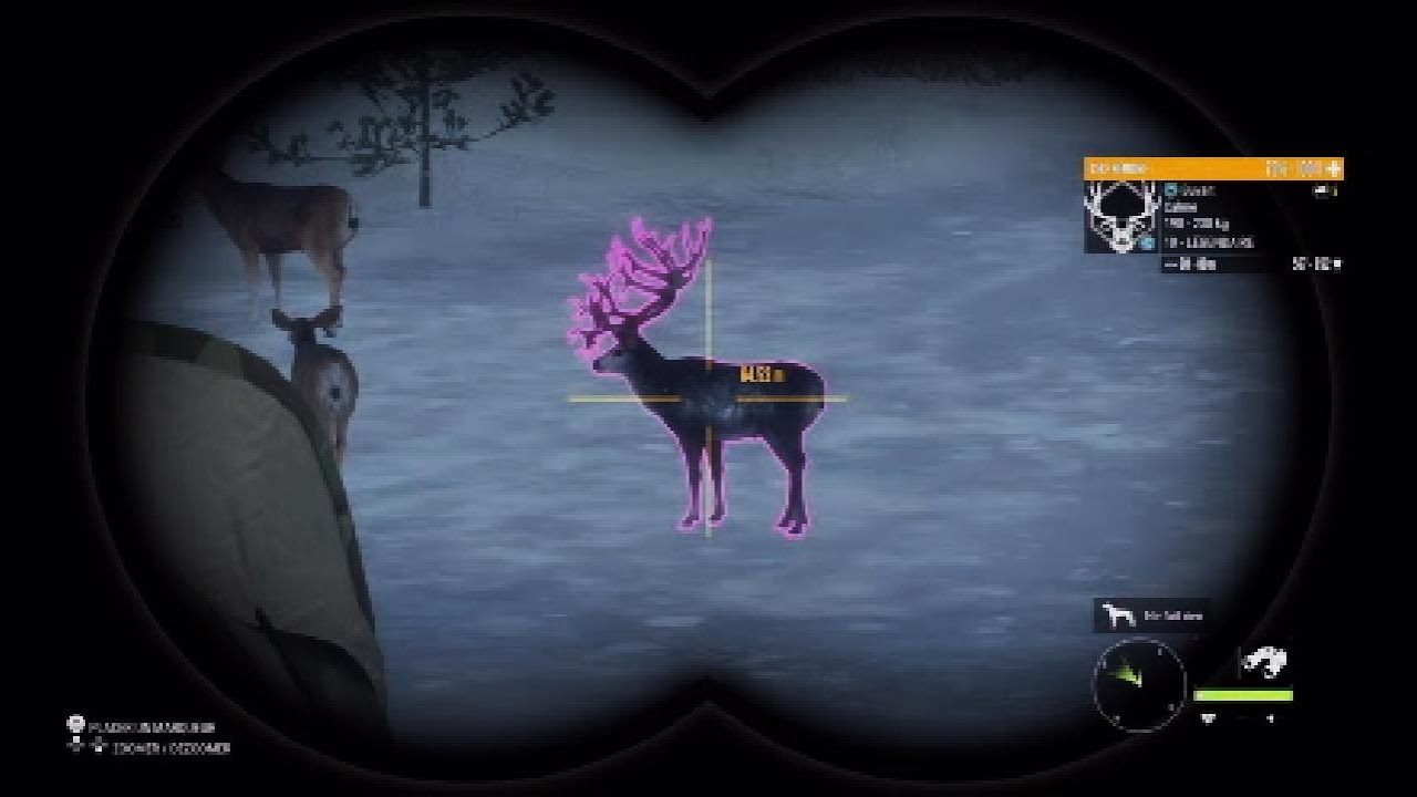 Je trouve mon premier Great one Cerf Hémione sur Askiy Ridge ! - The Hunter call of the wild