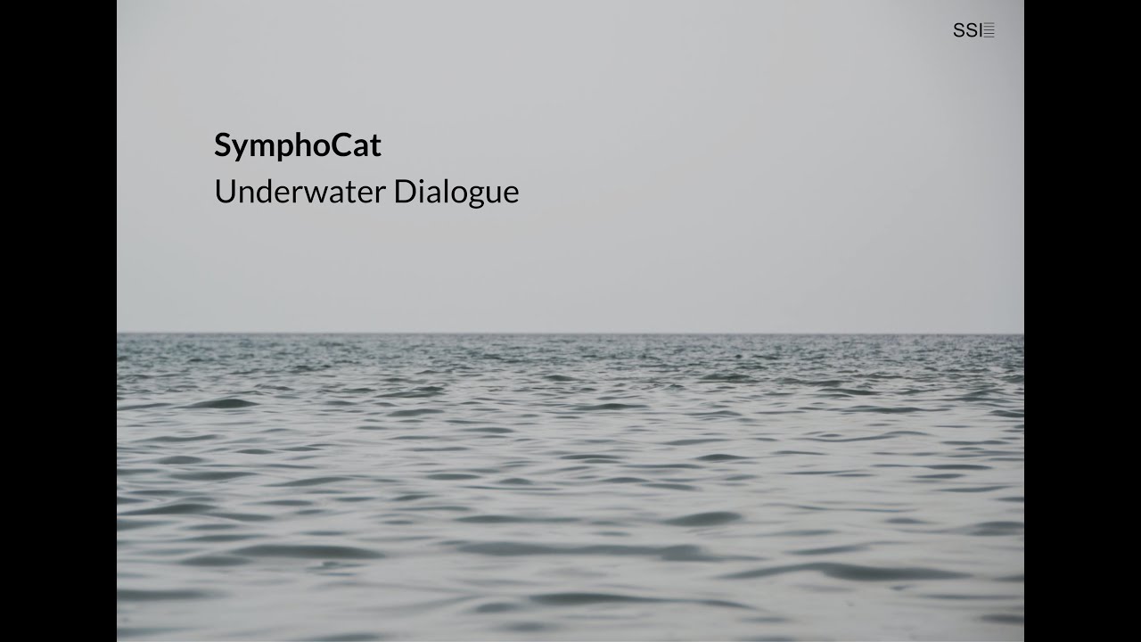 Symphocat - Underwater Dialogue (Long Whale Song Album)