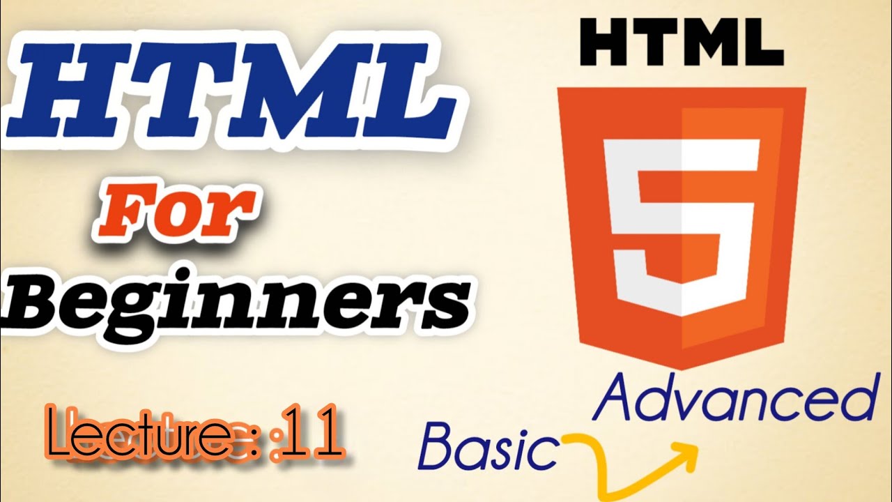 Button elements||select in HTML.HTML Tutorial for Beginners 11.Web Development 