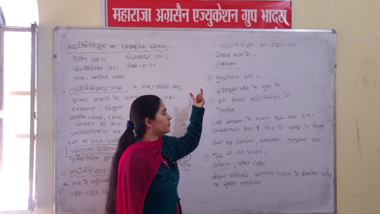 B.Sc  B.Ed 1st year Zoology topic Mitochondria next class 17.02.26