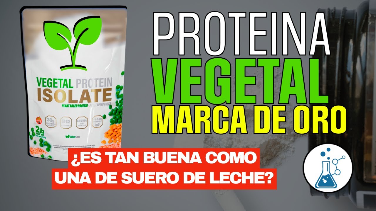 ¿SIRVEN las PROTEINAS VEGETALES? 