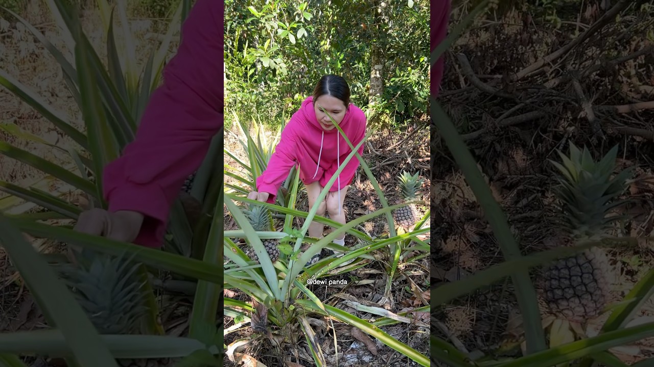 segarnya rujak buah baru petik di sekitar rumah