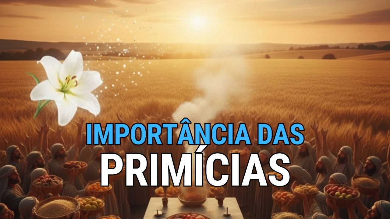 Bíblia em Áudio para Dormir | Deuteronômio 23 ao 26 – As Leis da Santidade e Gratidão