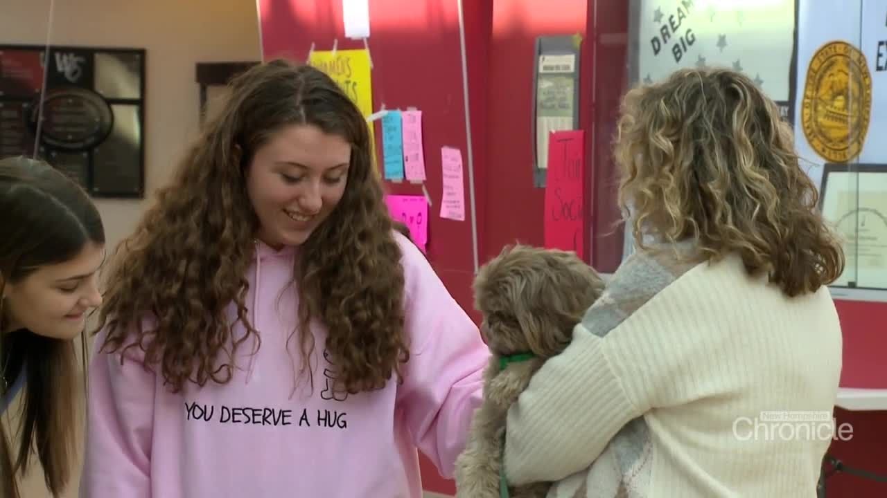 Wednesday, February 15th: Therapy Dogs in Schools