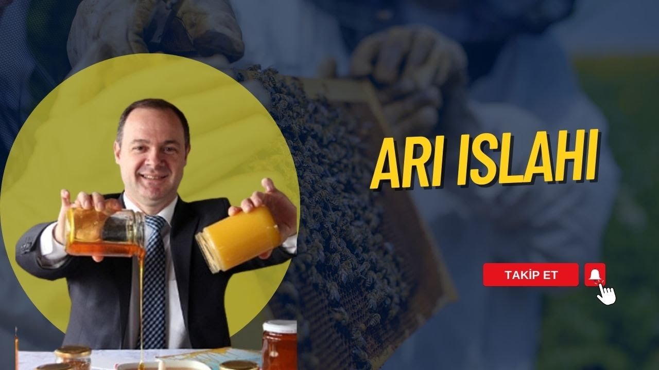 ARI ISLAHI | YALÇIN SEZER İLE KÖYDE ARICILIK