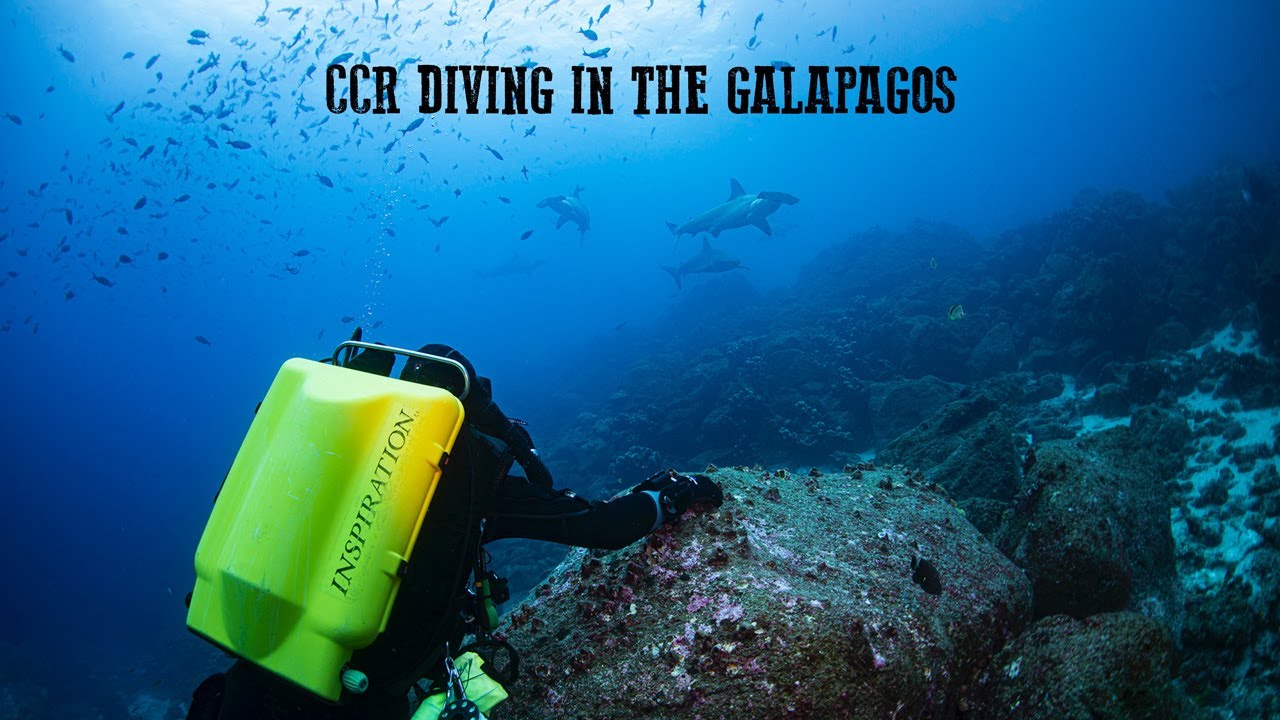 CCR Diving in the Galapagos - Technical Diving Presentation [DEMA 2022]