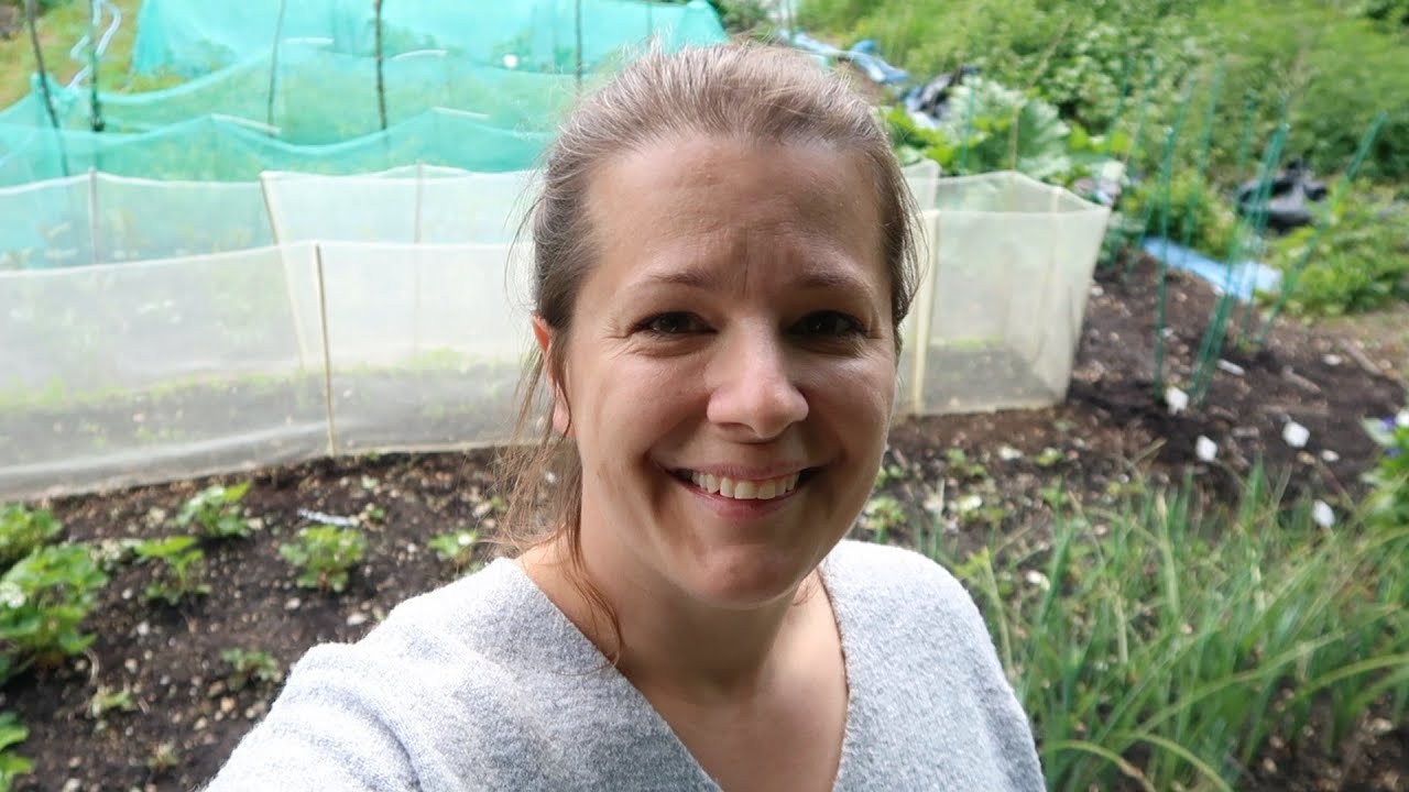 May tour of my allotment garden plot