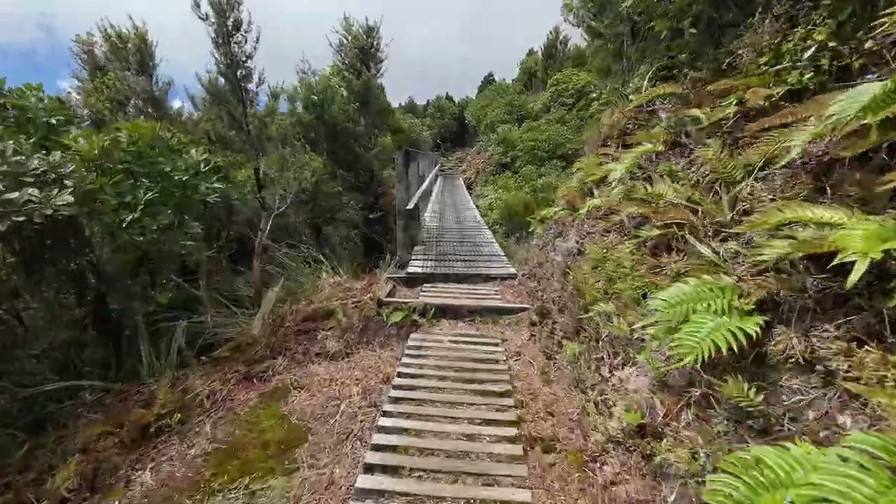 hiking NZ North Island Mangorie Track - up the side of a volcano