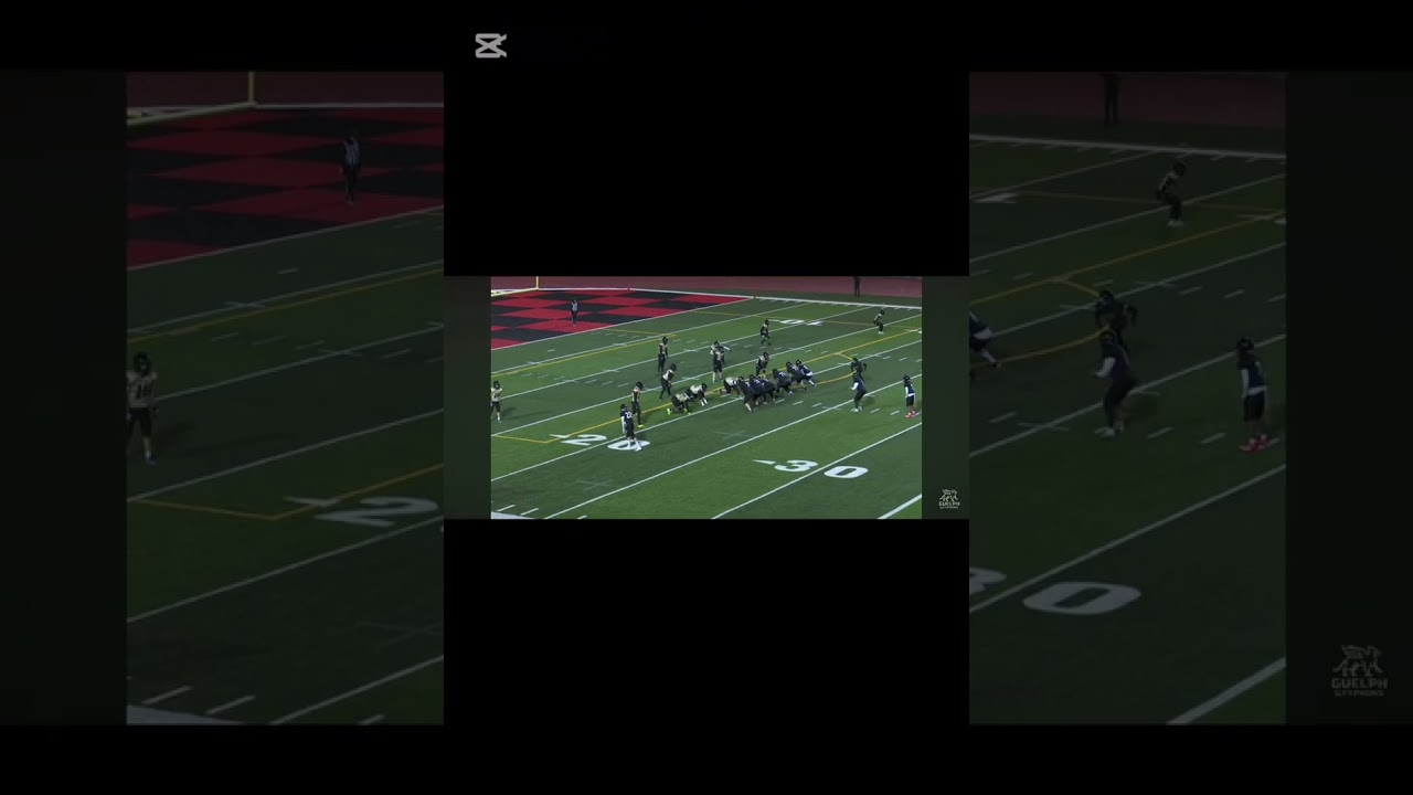 D10/ CWOSSA HIGHLIGHTS 