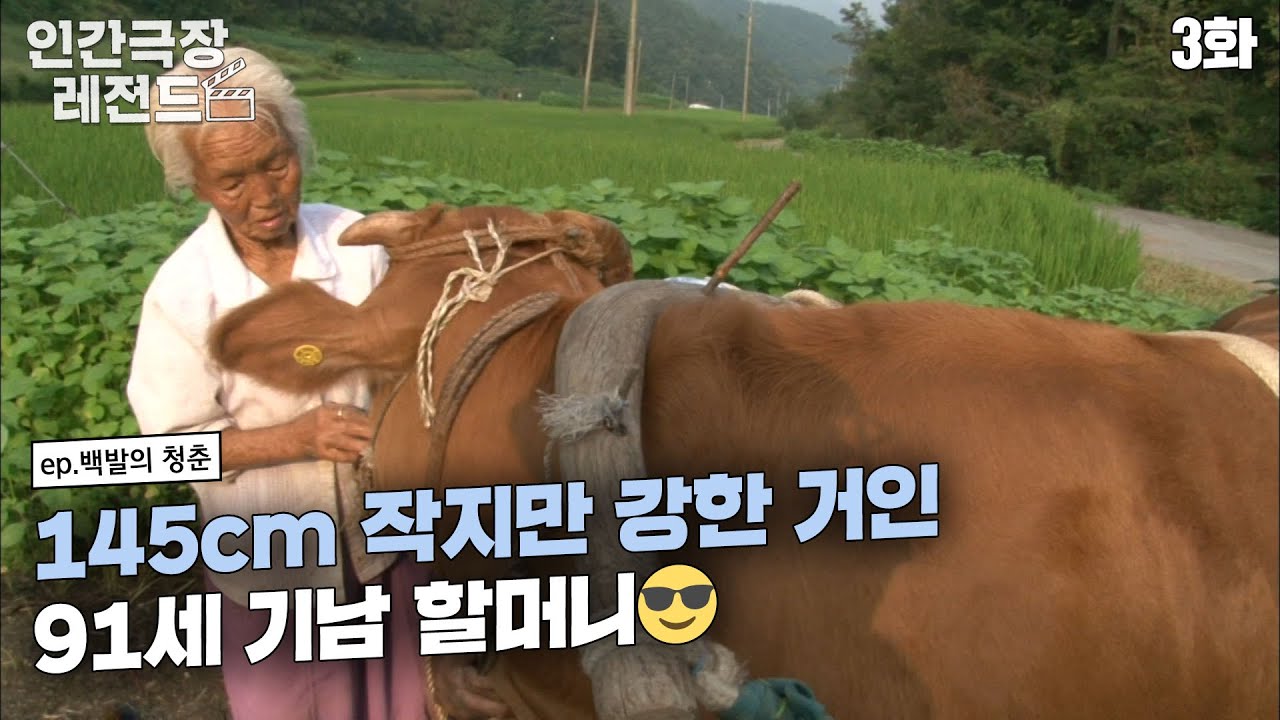 [인간극장 레전드 #140-3] 145cm 작지만 강한 거인 91세 기남 할머니😎 | 백발의 청춘 (3/5) [KBS 140917 방송]