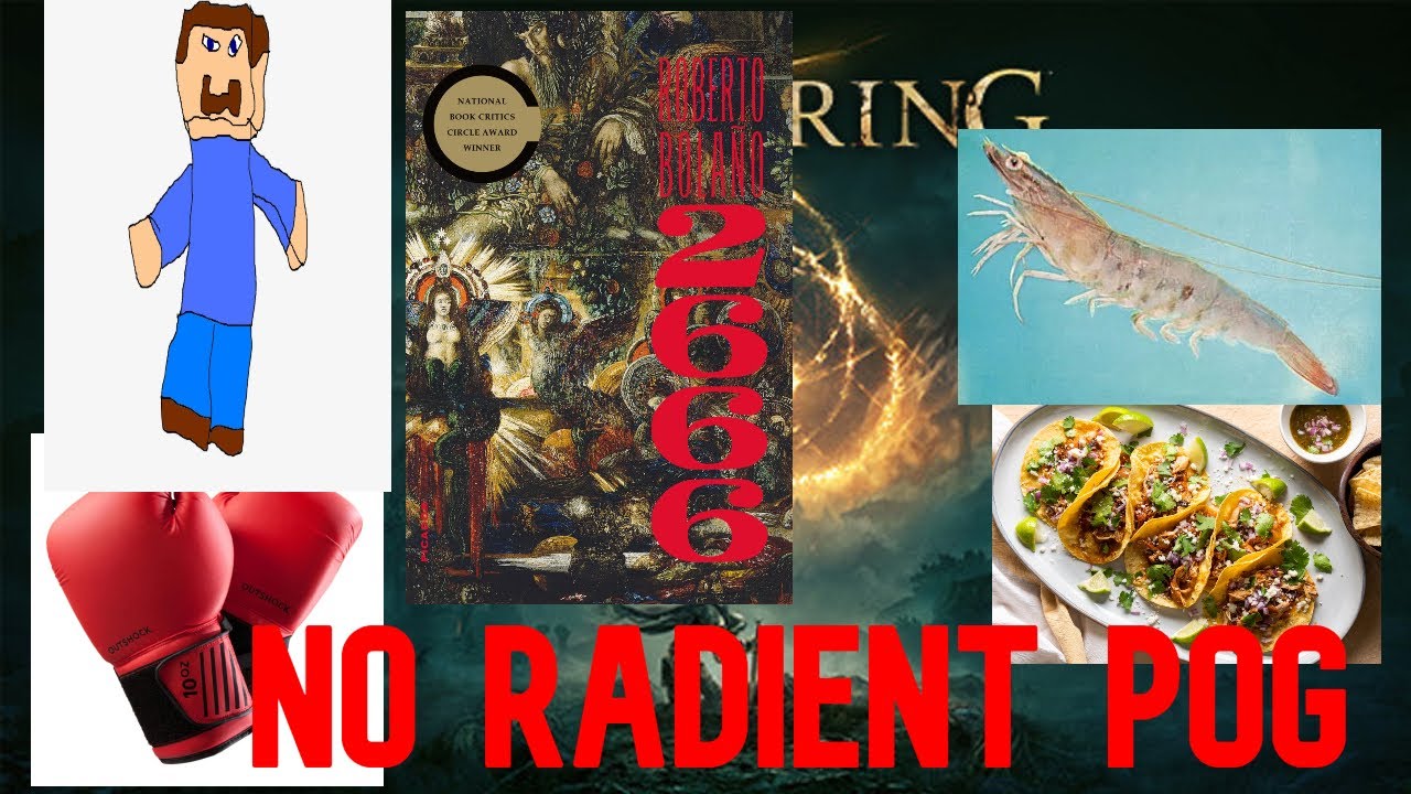 2666 Book Review By Roberto Bolano Ending of Part 2 and 3, The part about Amalfitano and Fate ELDENR
