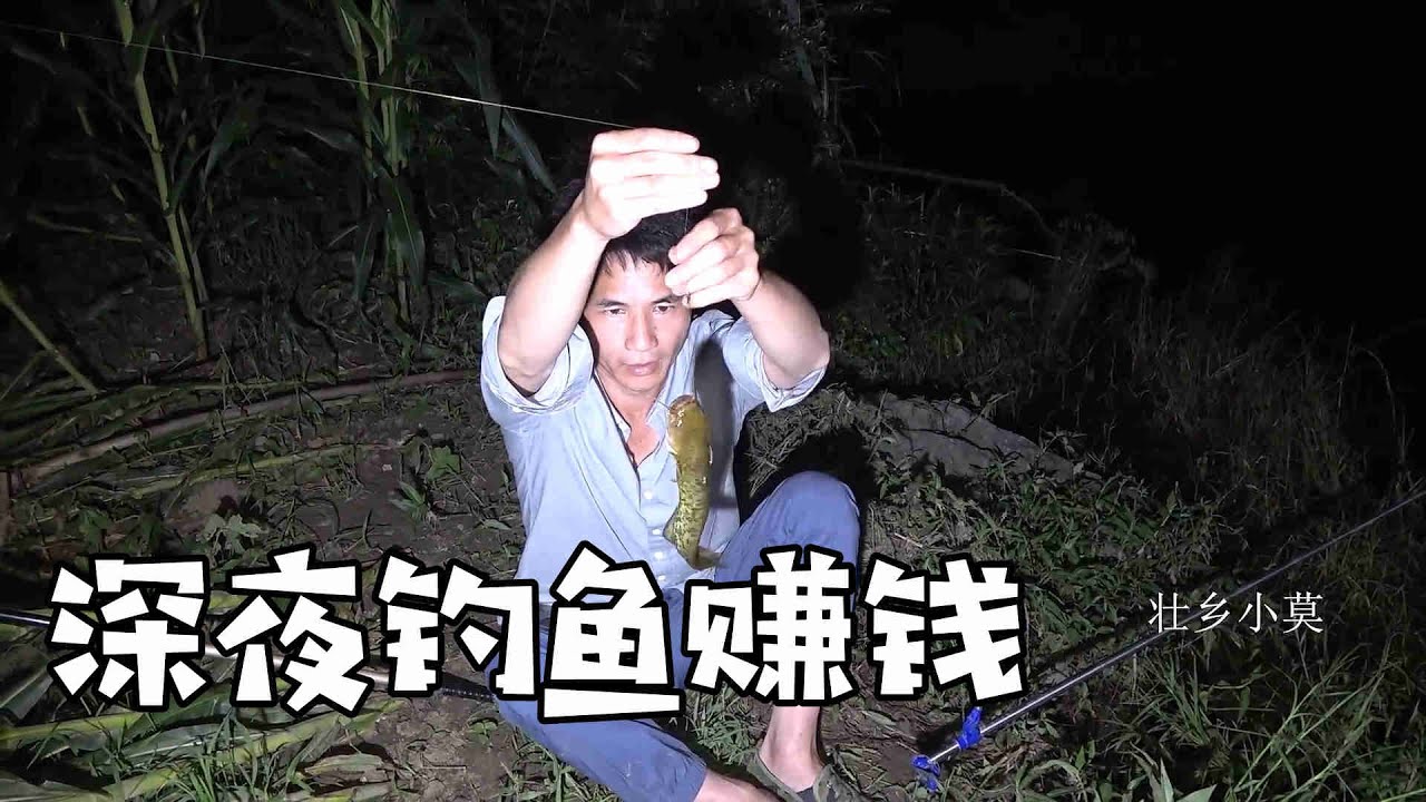 老板订购河鱼40一条，小莫晚上到河里抓鱼卖钱，挣了200块Make money selling wild river fish【壮乡小莫】