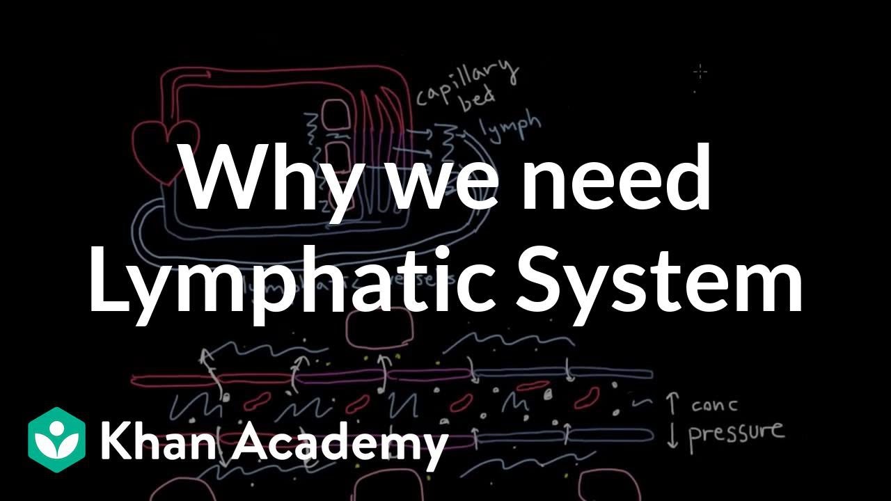 Why we need a lymphatic system | Lymphatic system physiology | NCLEX-RN | Khan Academy