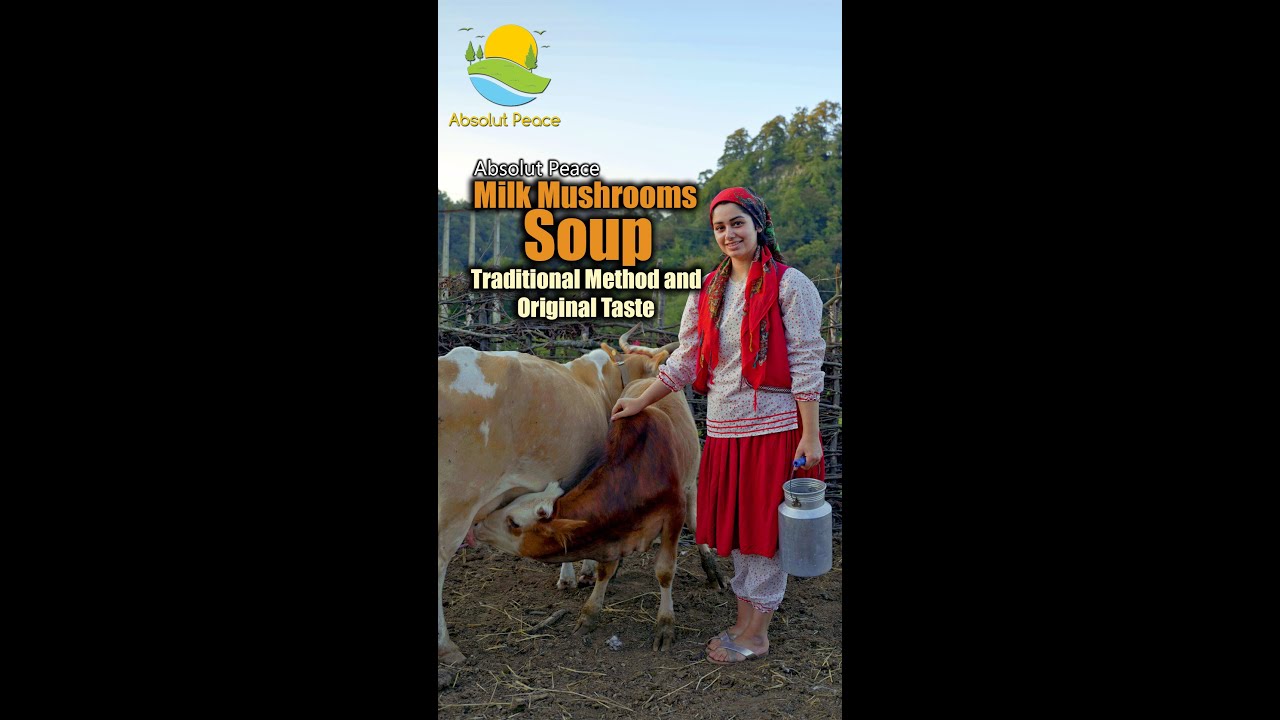Mushrooms Soup with the Fresh Milk #creamysoup #mushroomrecipe