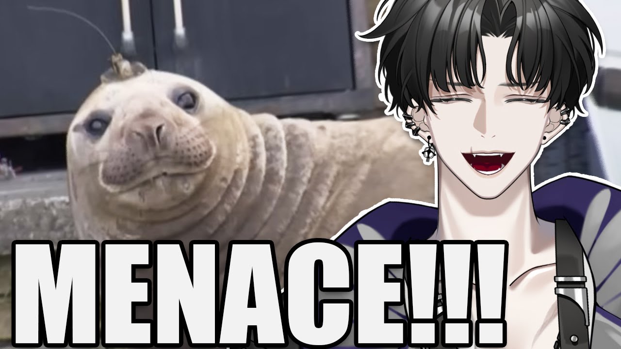 THIS FREAKING SEAL IS AN ABSOLUTE MENACE | Reacting to