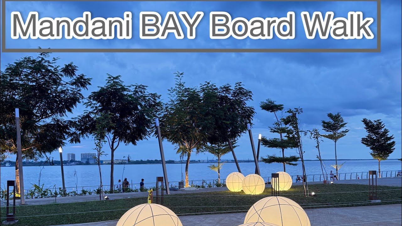 Afternoon Walk in Mandani Bay Boardwalk | The best here 