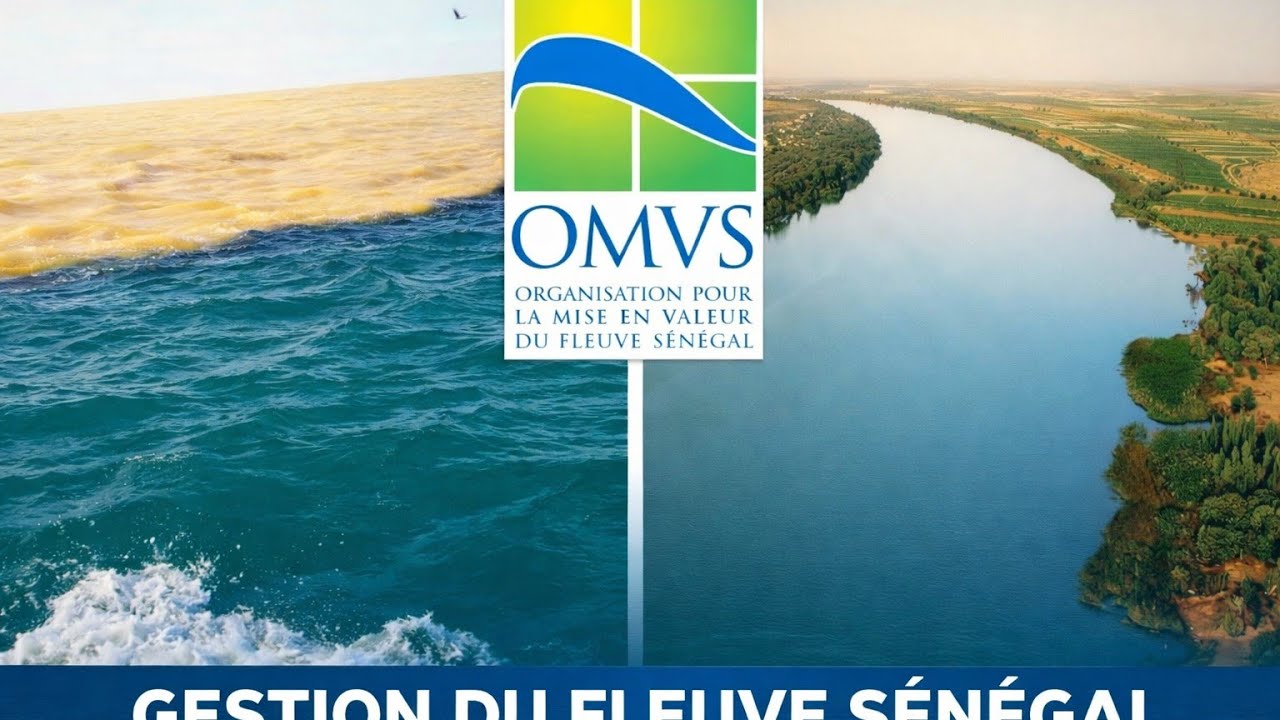 OMVS: Le développement du transport fluvial sur le fleuve Sénégal à une mer au Mali