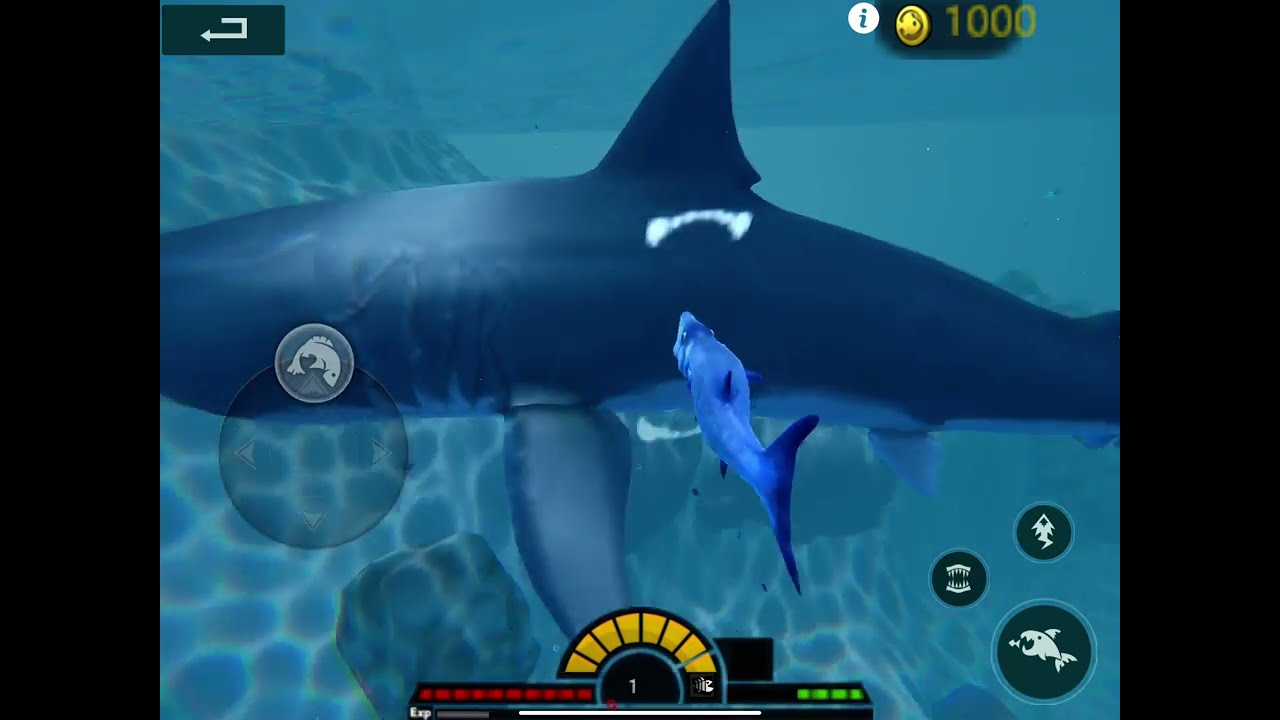 I was playing feed a grow fish ￼￼