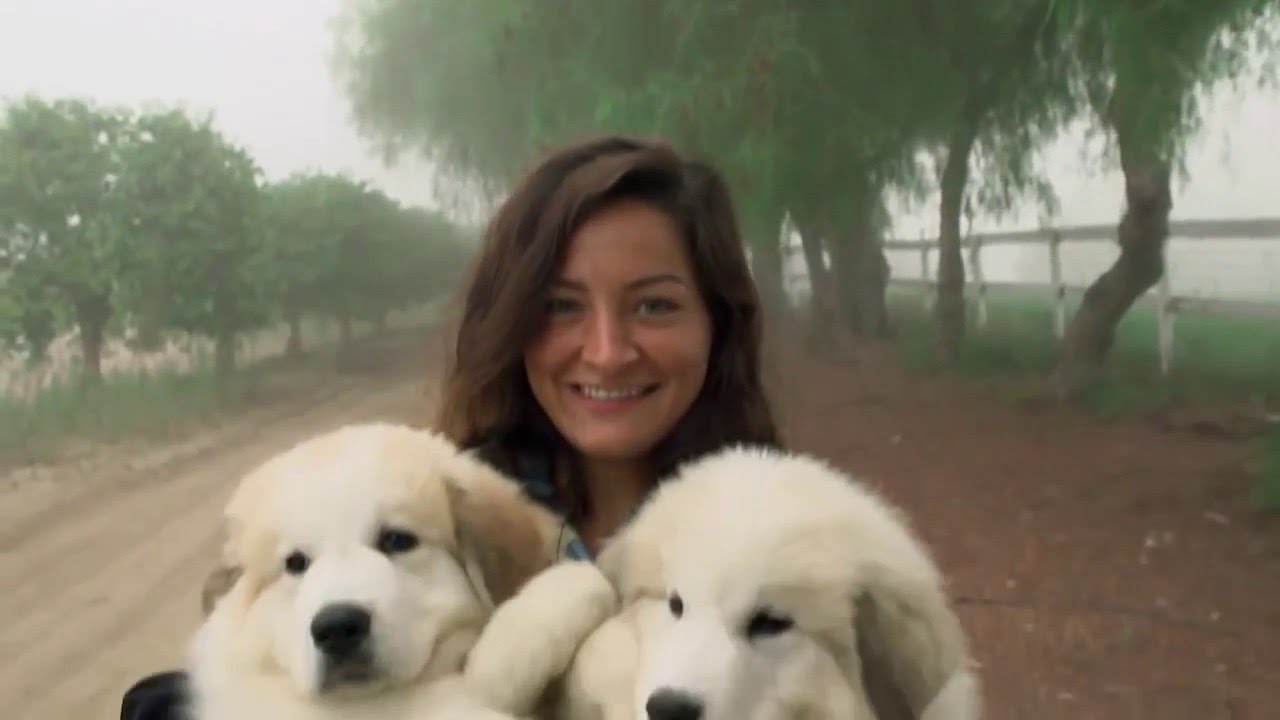 Steep Your Soul׃ The Guardians of Apricot Lane Farms ¦ Super Soul Sunday ¦ Oprah Winfrey Network