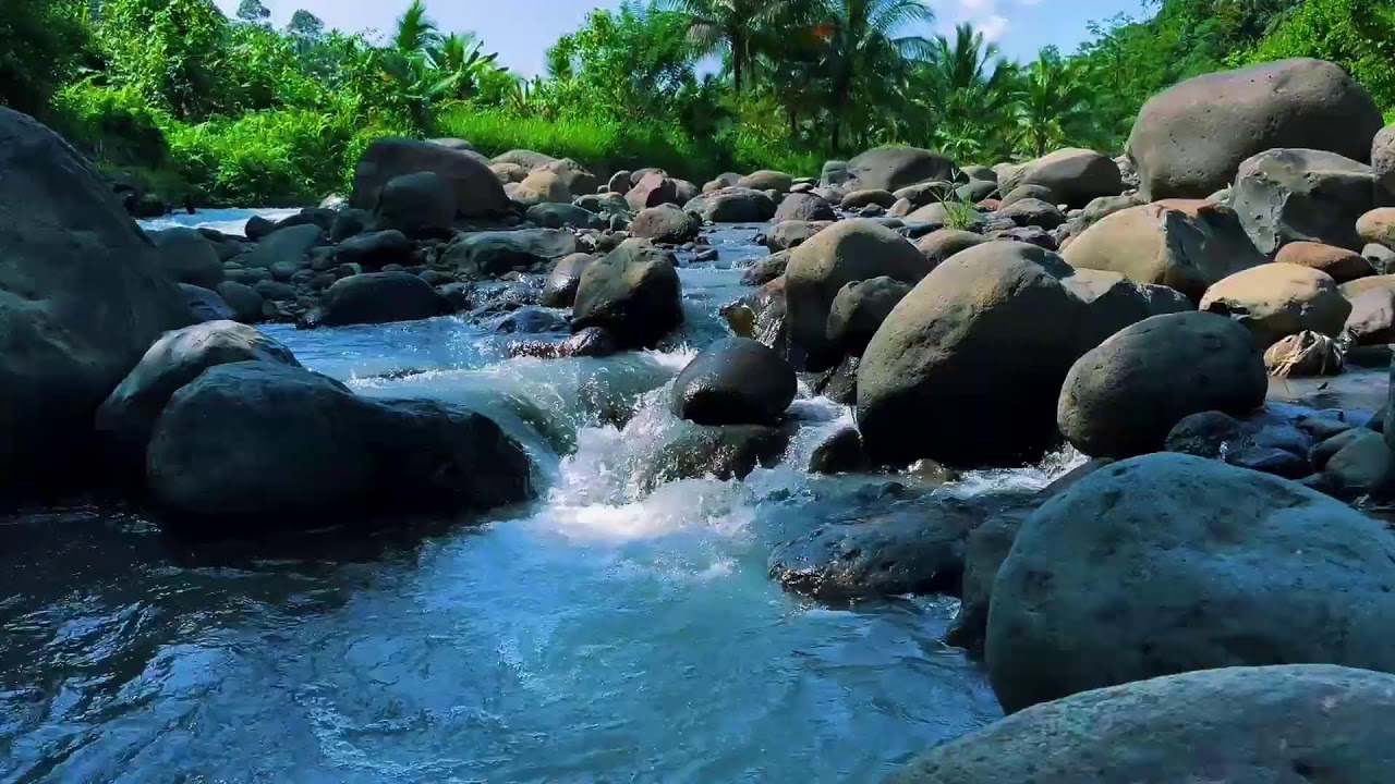 Continuous River White Noise for Deep Sleep & Focus | Natural Relaxing Water Sound