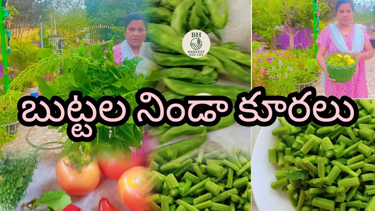 బుట్టల నిండా కూరలు