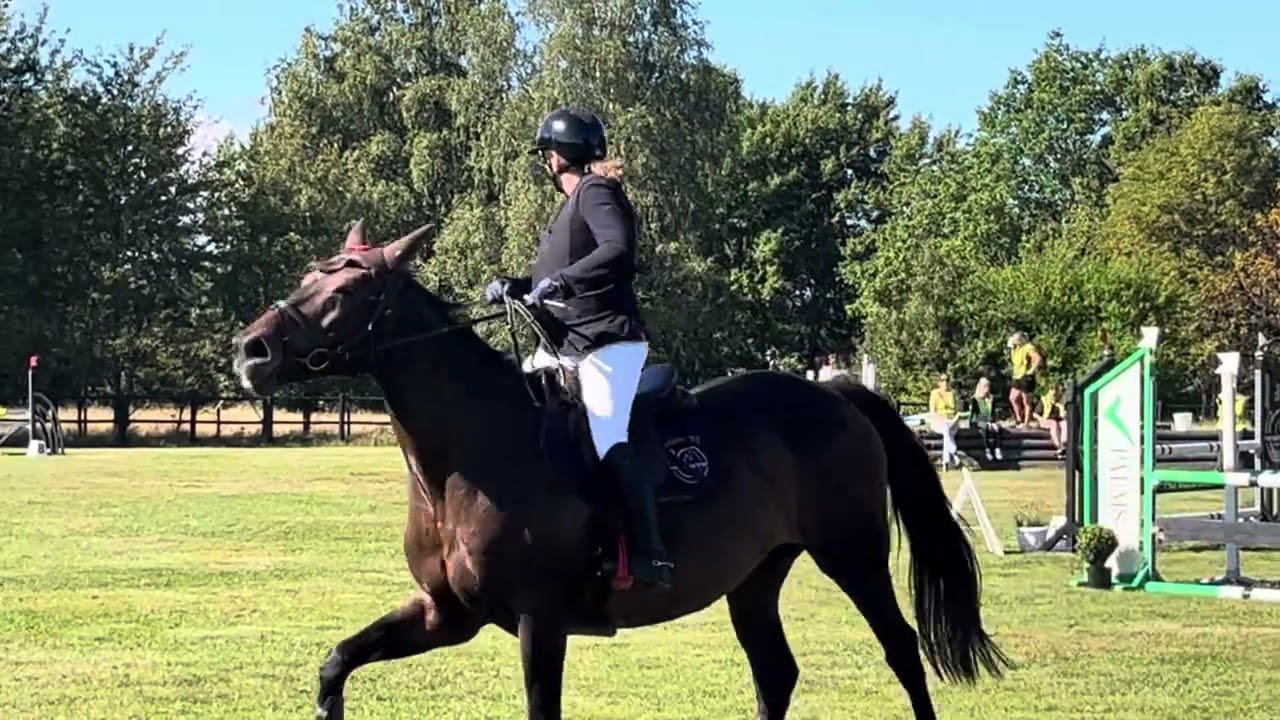 Aprilia, 1 m. 7/9-2025. 0 fel. Skedala Ridklubb. Grundomgången. 