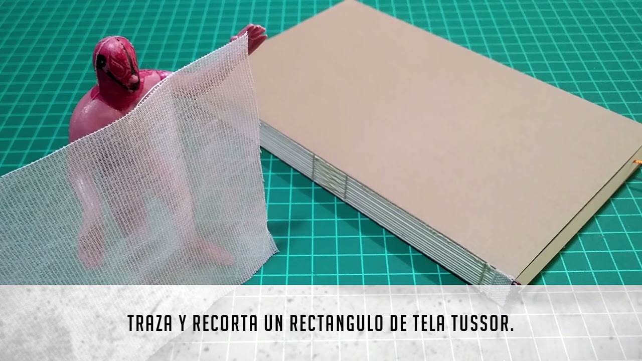 Registro cabezada y endose .