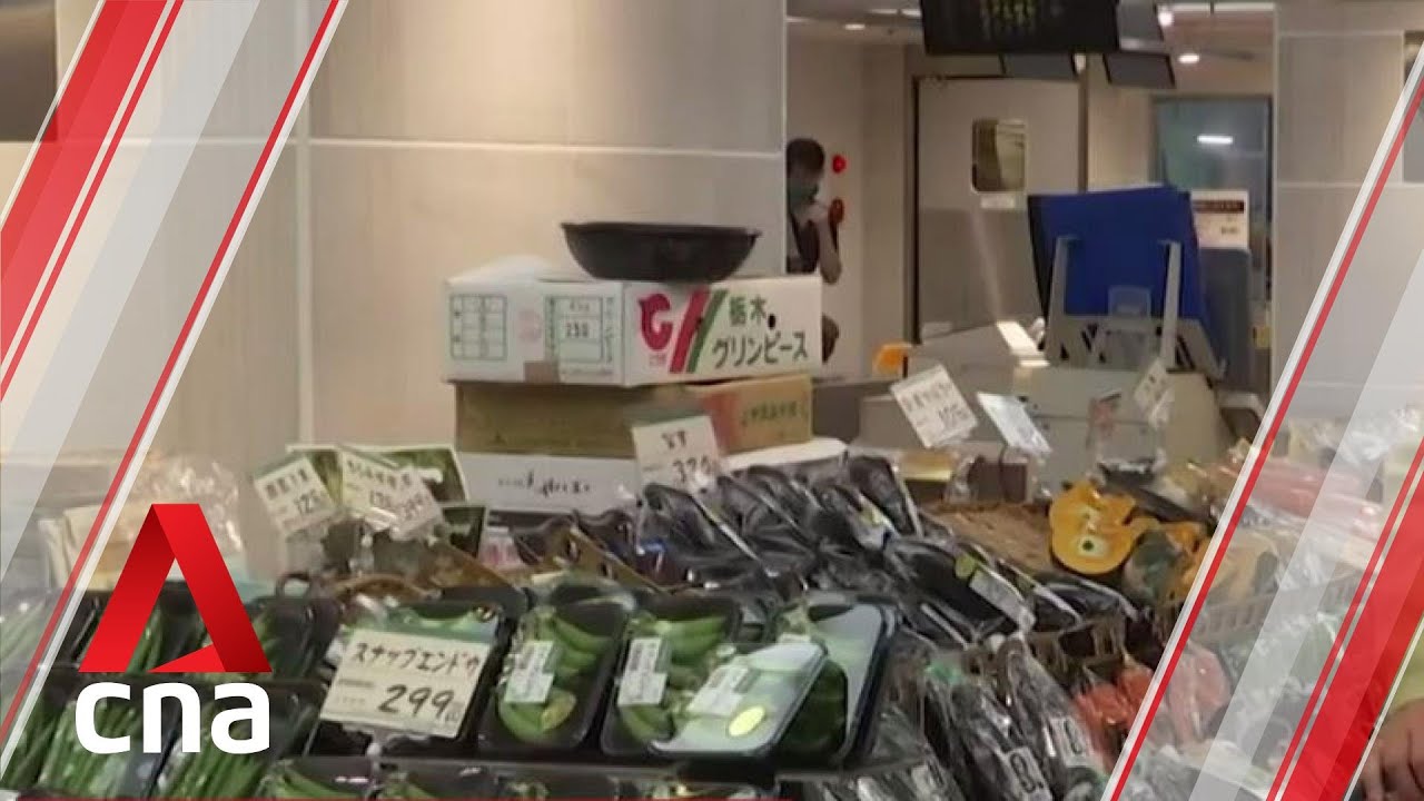 Global food prices rise in June after months of decline