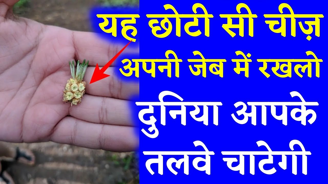 यह छोटी सी चीज़ बस अपनी जेब में रखलो करोडपति धनवान राजा बन जाओगे