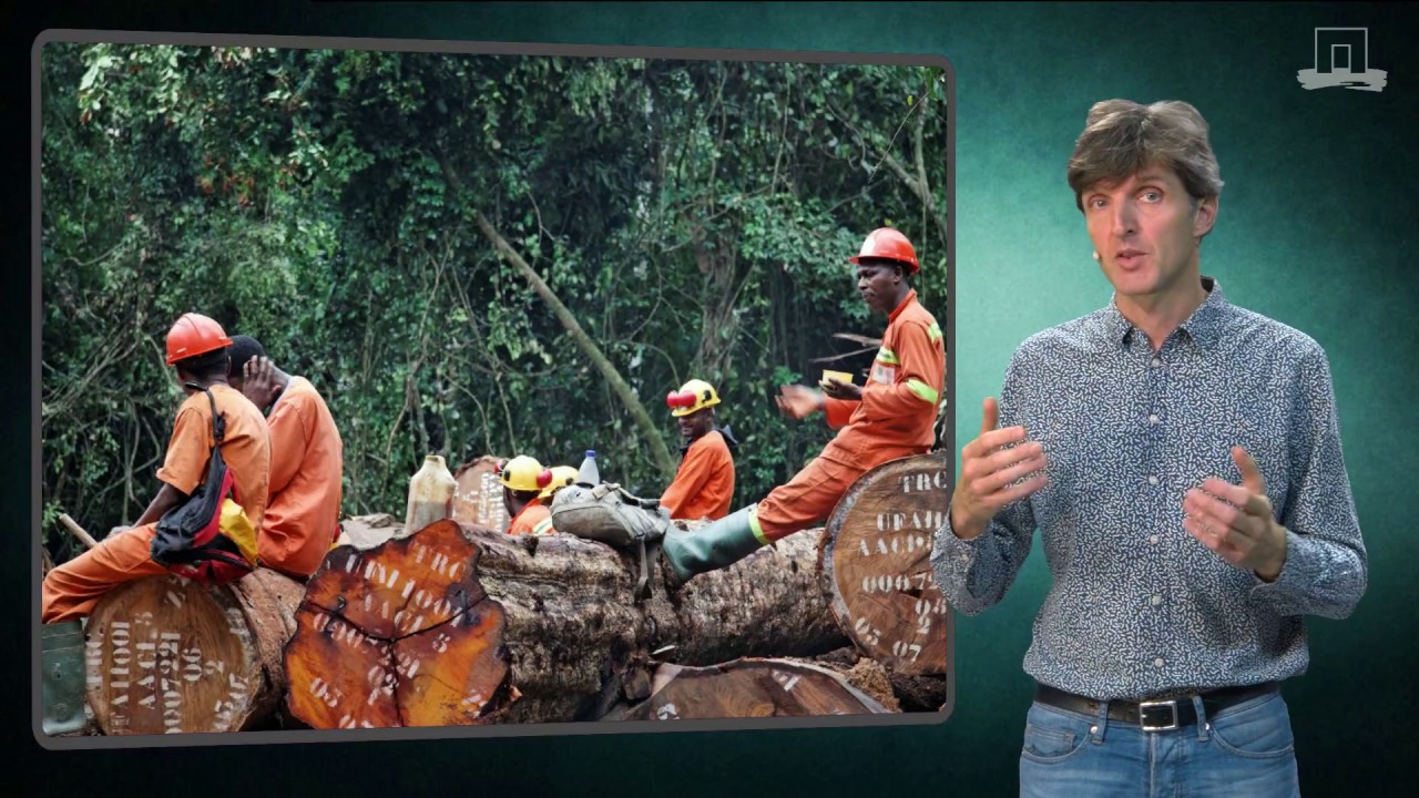 FEM30806 - Simulating forest exploitation with matrix models