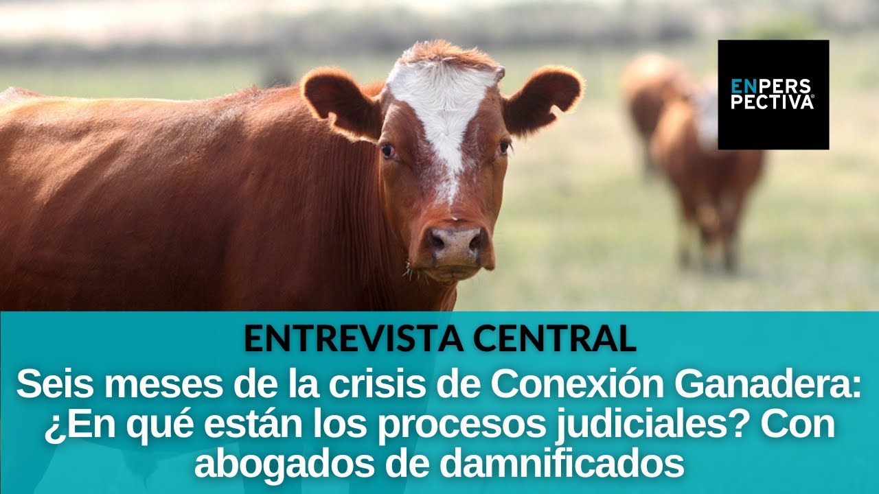 Conexión Ganadera: ¿Cómo avanzó el caso? ¿Qué cabe esperar para los próximos días?