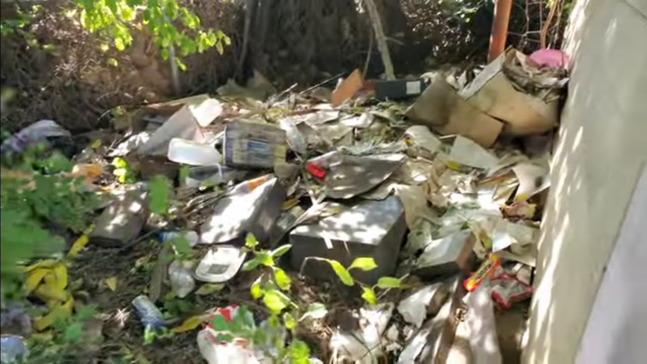 Cemetery records kept in filthy conditions at Mount Lawn cemetery
