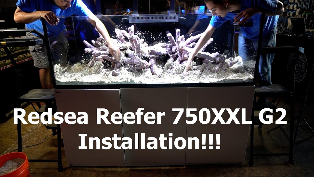 Redsea Reefer 750XXL G2 Display Aquarium Installation.