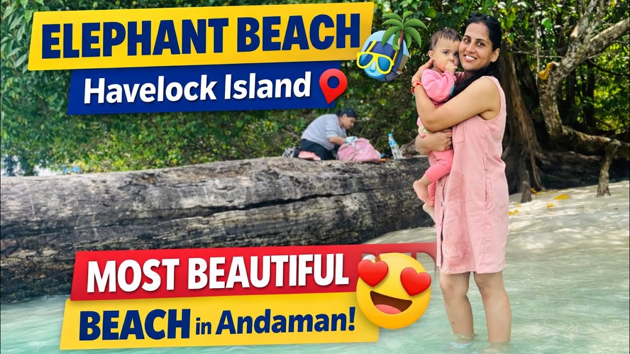 Elephant Beach Havelock Island | Clear Water & Beach Fun 🌊 | Day-38