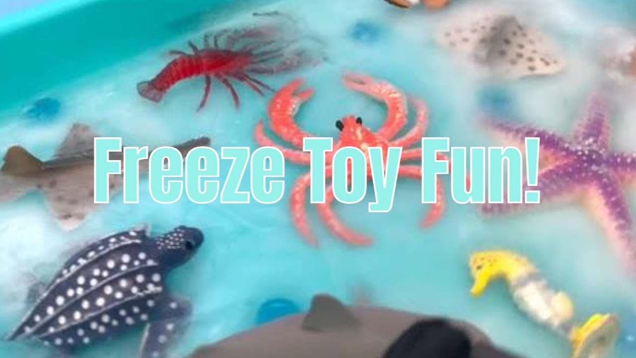 Freeze Ocean Toys: Sensory Fun!