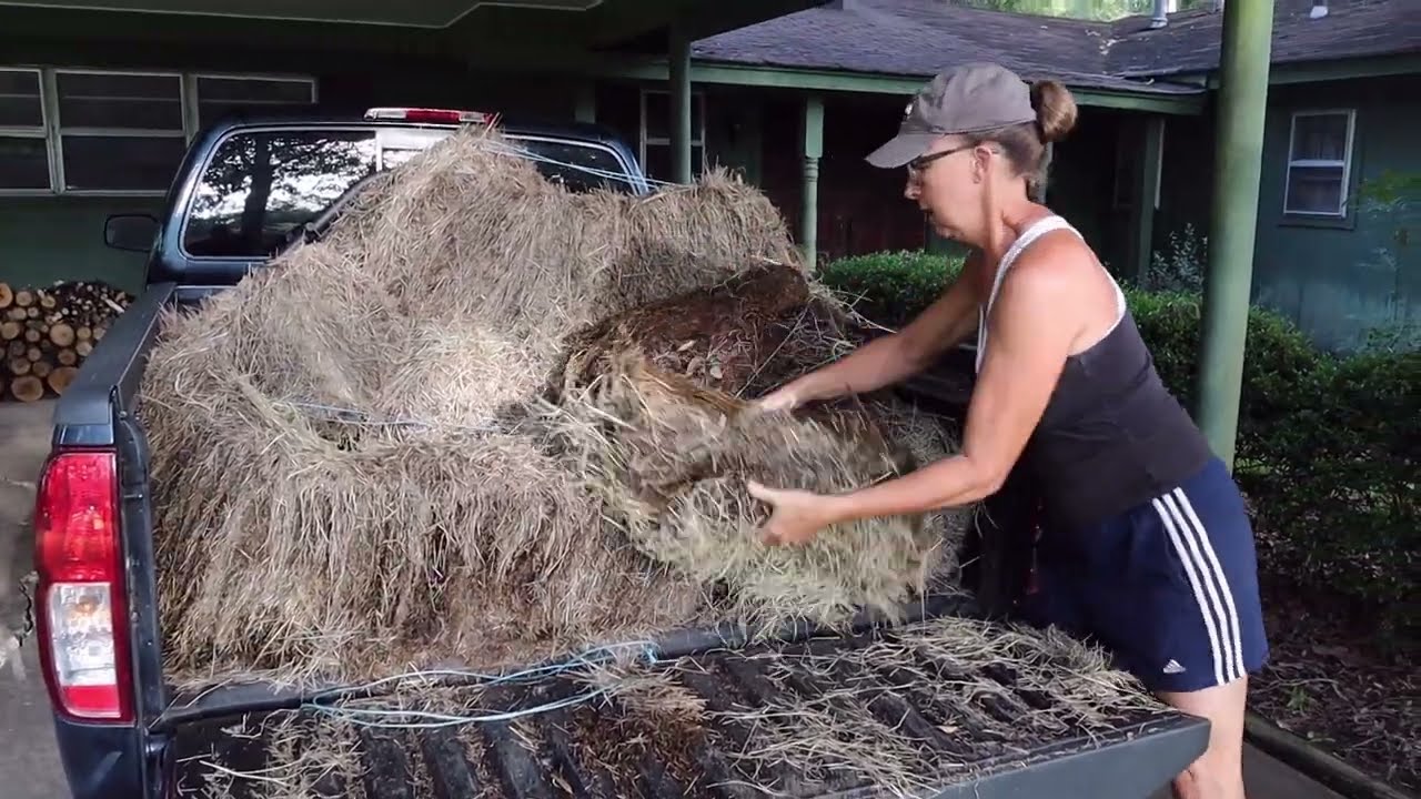 Putting Some Old Hay to Good Use