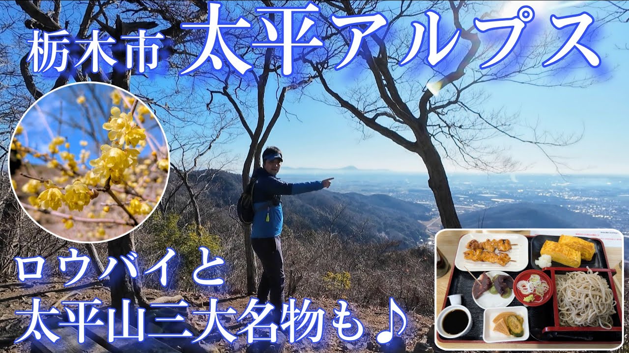 【太平アルプス】栃木の低山をトレラン縦走！見頃のロウバイとご当地グルメも楽しみます♪（2026/1/25）