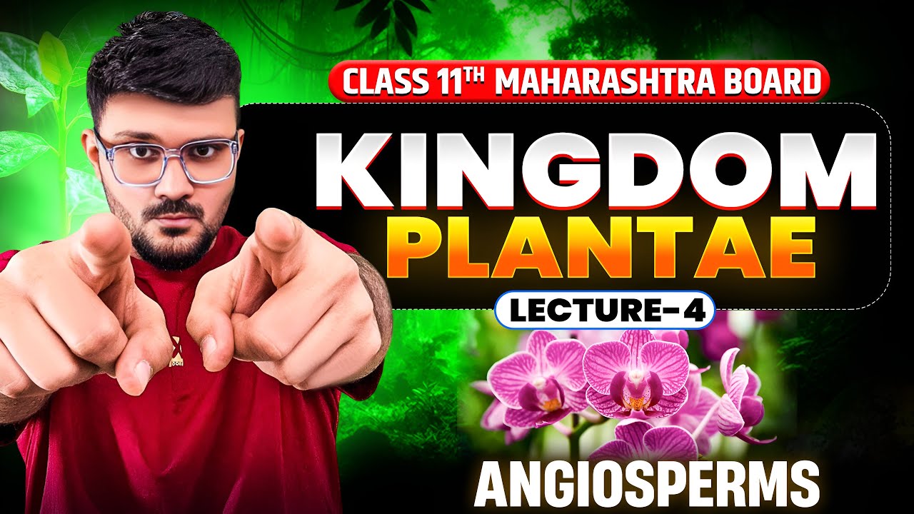 Kingdom Plantae Class 11 | Maharashtra Board Biology | Angiospermae Lecture 4