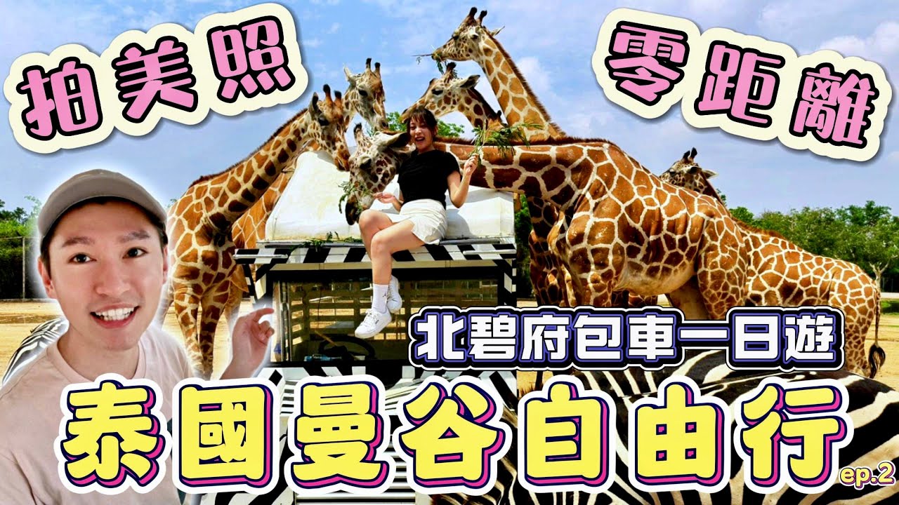 泰國北碧府動物園包車一日遊 大推長頸鹿拍照行程超好玩VLOG