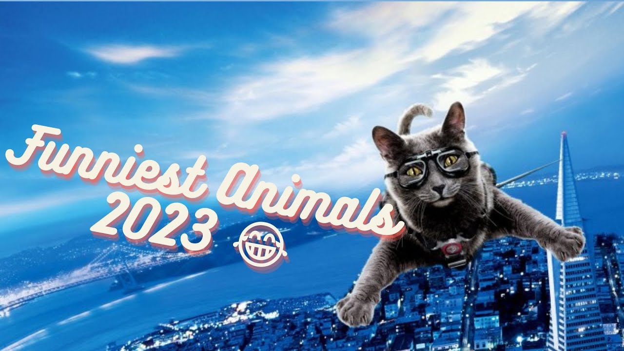 😁😁Funniest animals Videos#27😁Best Funny Animal Videos 2023 😅