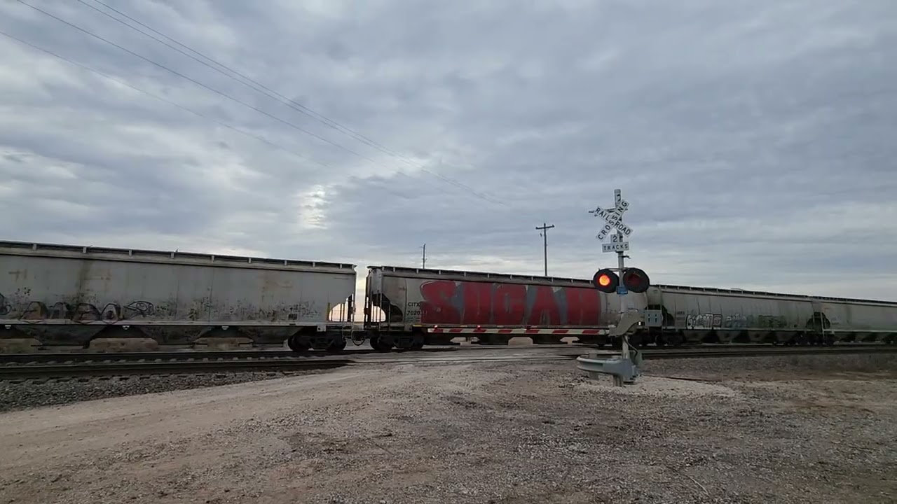 Bnsf grain train 
