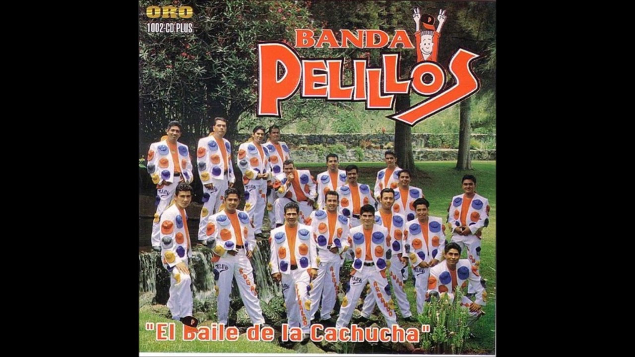 MIX DE CUMBIAS BANDA PELILLOS