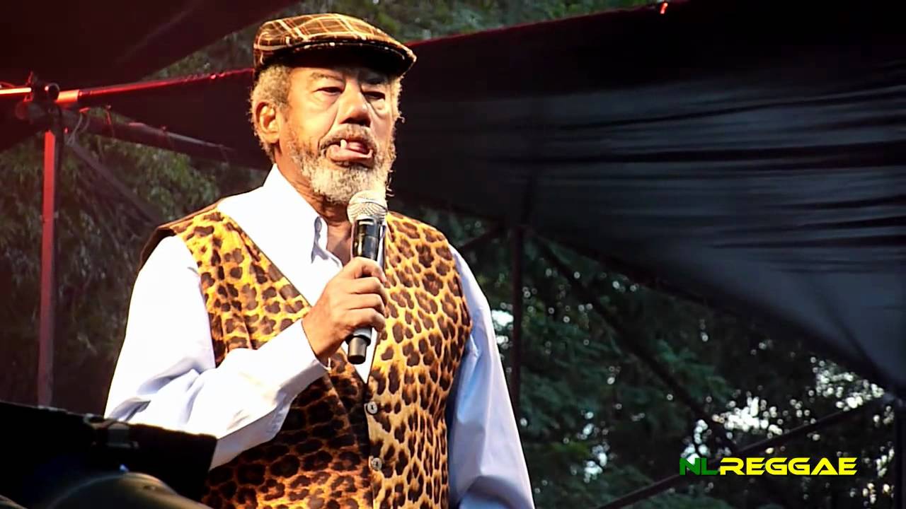 STUDIO 1 REVUE: KING STITT - Garance Reggae Festival, France 2011