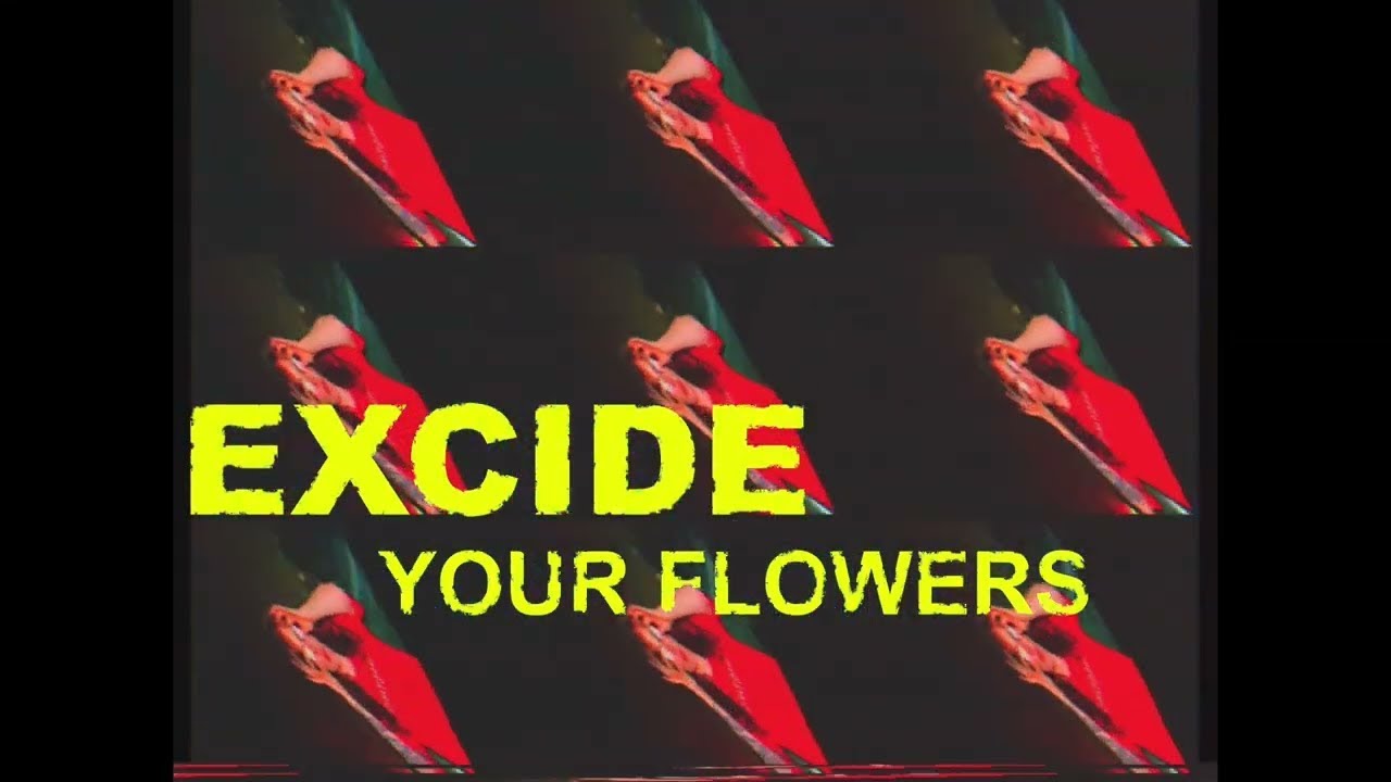 Excide - Your Flowers (OFFICIAL VISUALIZER)