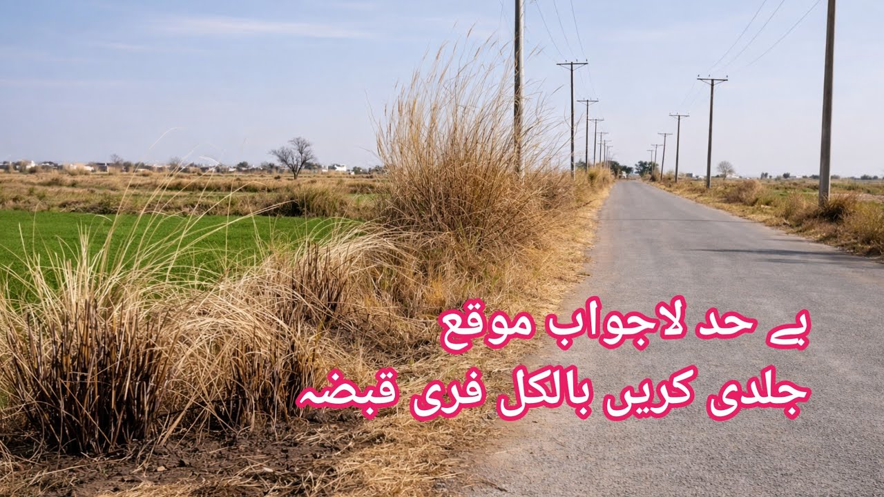 زرعی زمین برائے فروخت فارم ہاؤس والی بہت خاص سستی #viral #garden #house #viralvideo motorway# 